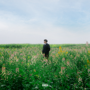 美女前插式动态视频
