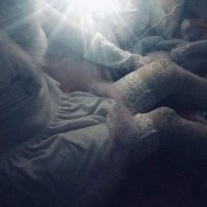 美女前插式动态视频
